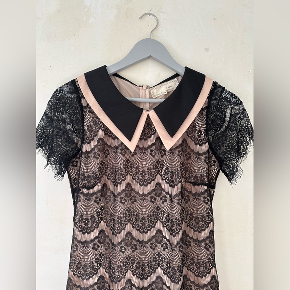 A’REVE Anthropologie Lace Short Sleeve Peter Pan Collar Mini Dress Size Small - Picture 3 of 9